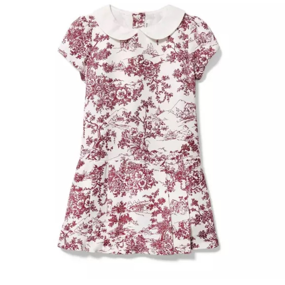 Janie and Jack  Berry Toile Print Dropwaist Dress